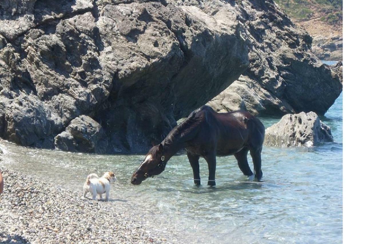 Παραθυρο Στο Αιγαιο Βίλα Velanidia Εξωτερικό φωτογραφία